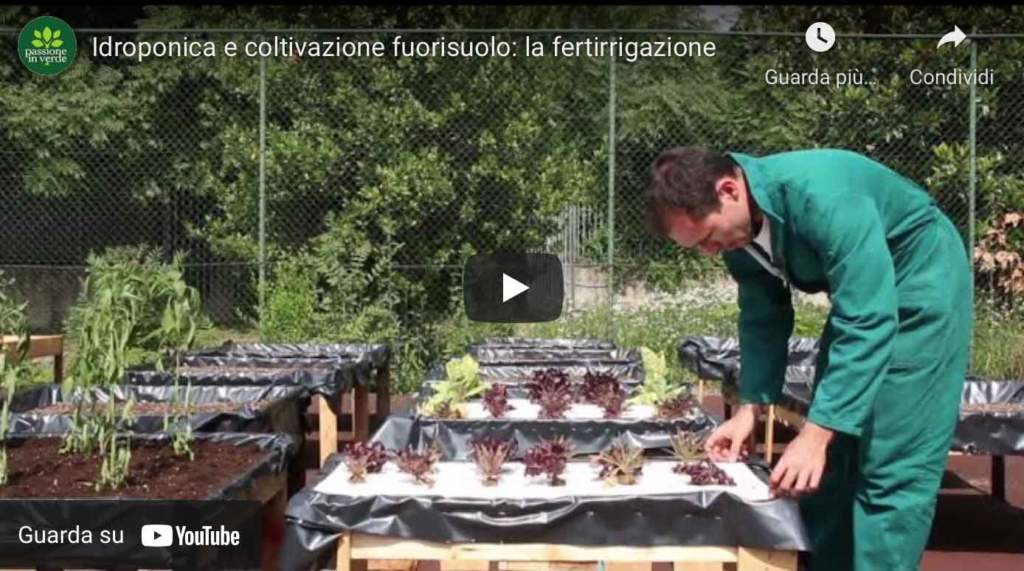 video_idroponica_fertirrigazione