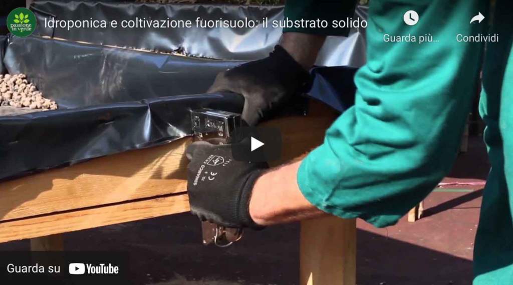video_idroponica_substrato