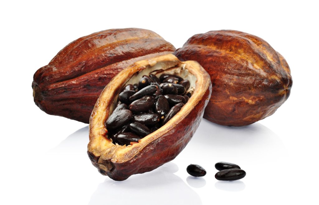 2016/05/cacao_e58567da.jpg