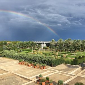 mostre mercato radicepura