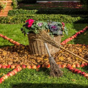 2017/10/01_Strassoldo_In_Autunno_Frutti__Acque_e_Castelli_2017__4__web_2bf1185d.jpg