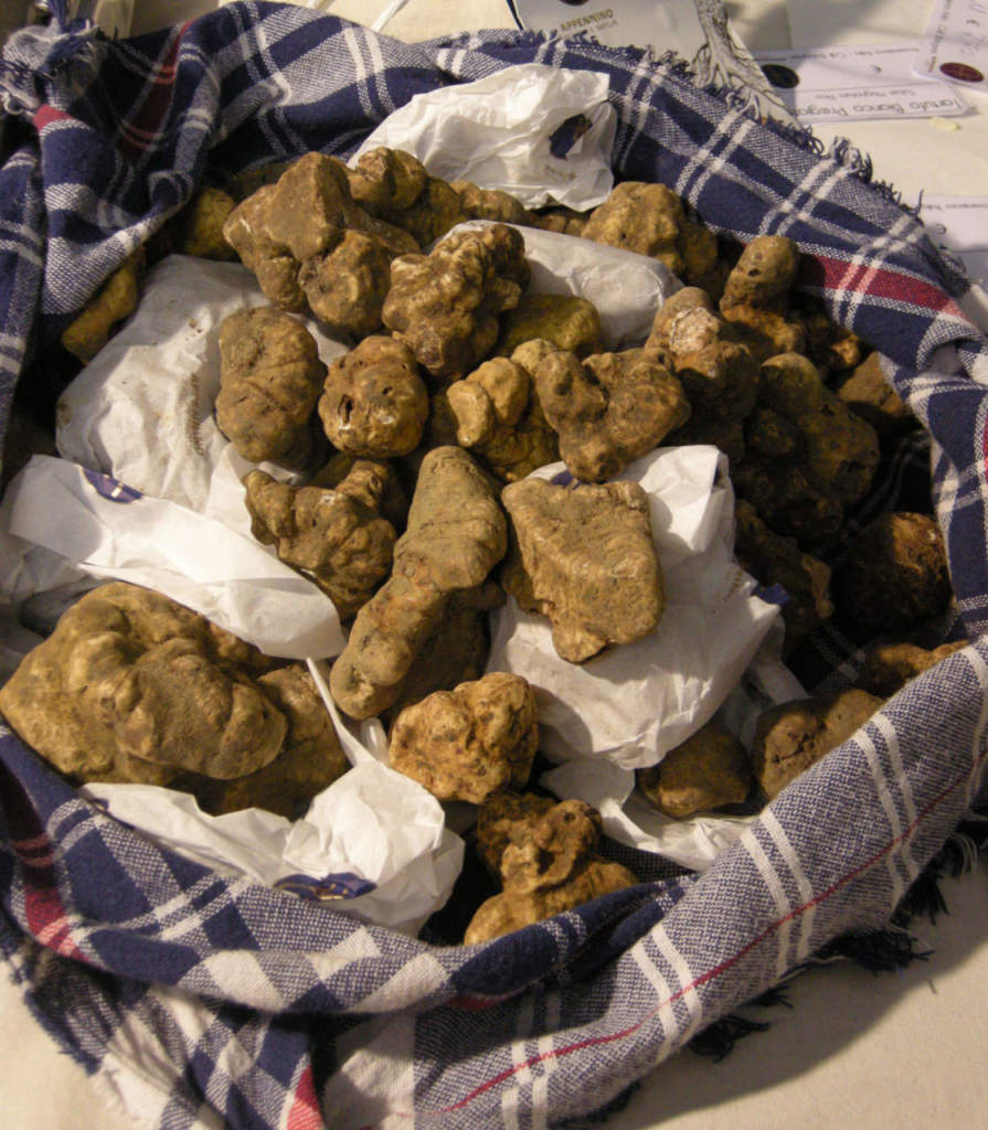 Cesta di tartufo bianco