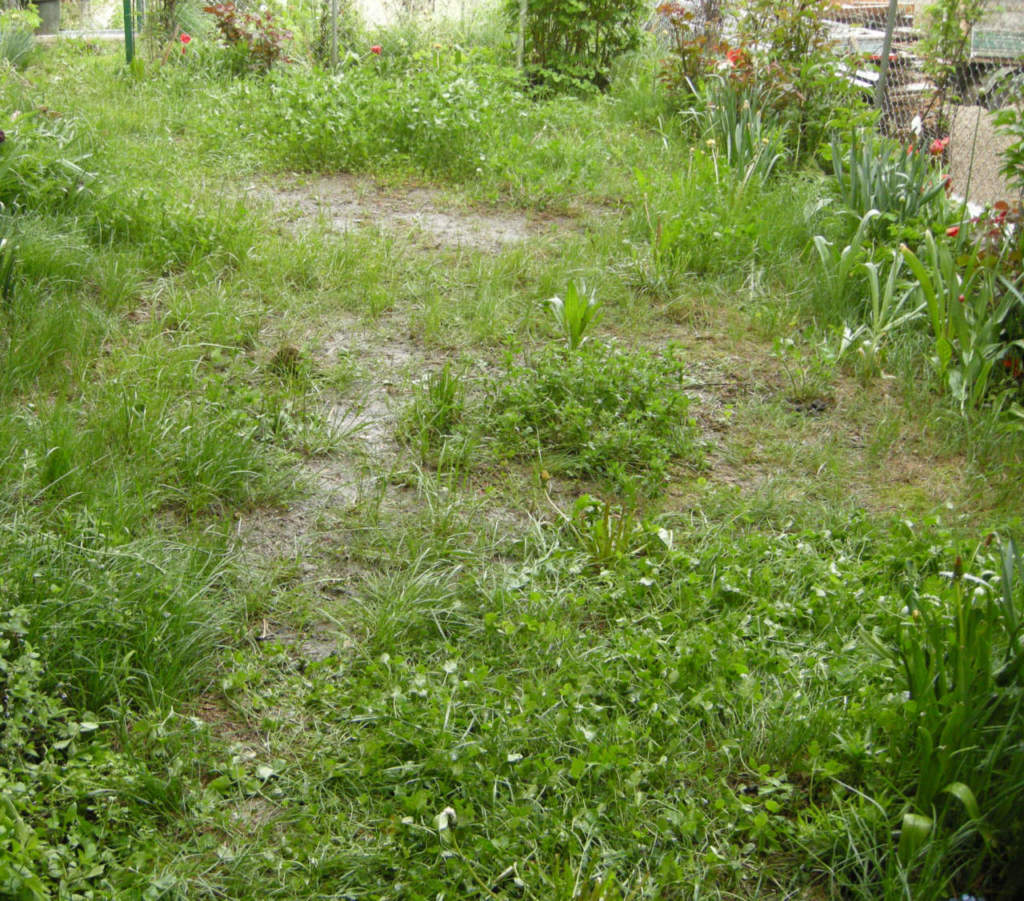 assenza_drenaggio