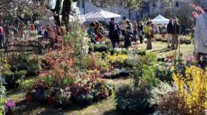 castelli di strassoldo mostre mercato