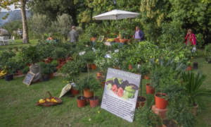 giardini del volturno