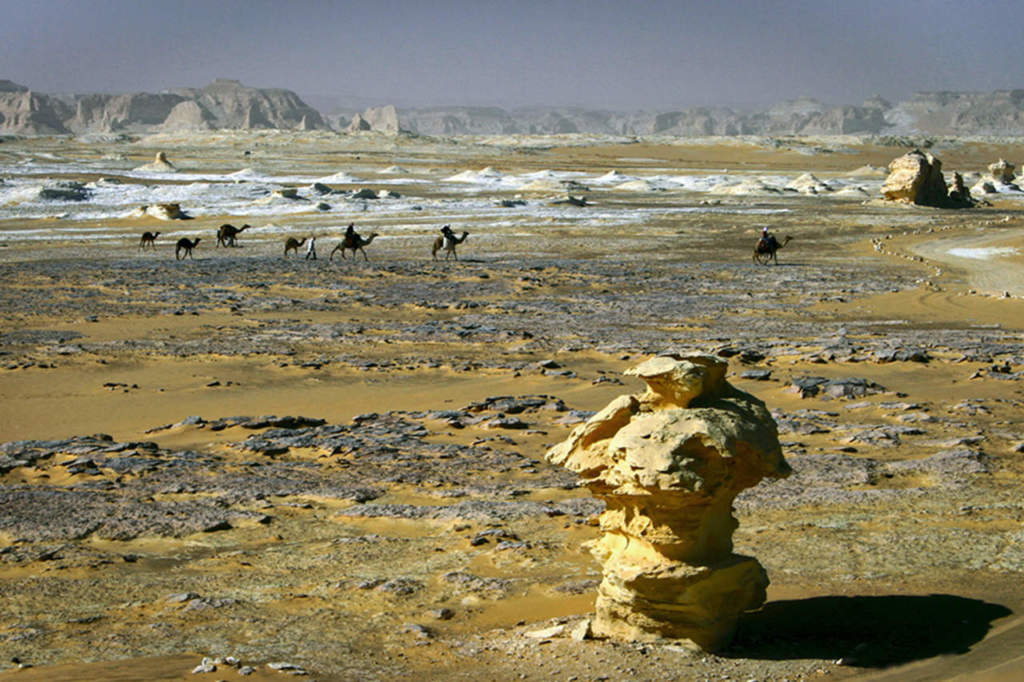 cambiamento climatico
