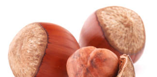 nocciolo con gusci vuoti