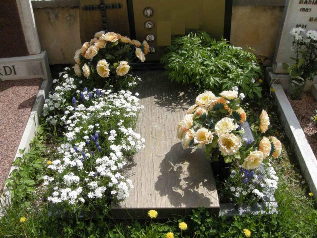 piante sulla tomba