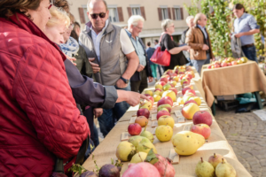 Pomaria 2019