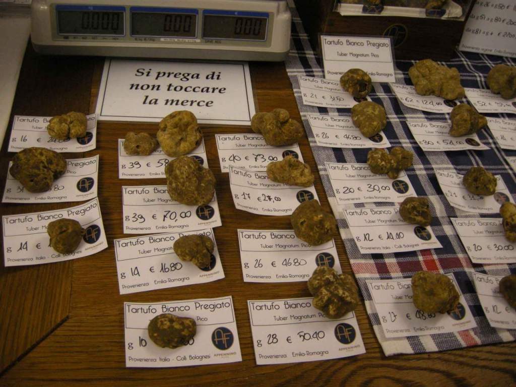 tartufi, tartufo bianco, piante afrodisiache