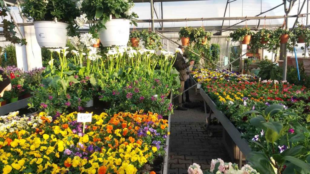 vendita di fiori