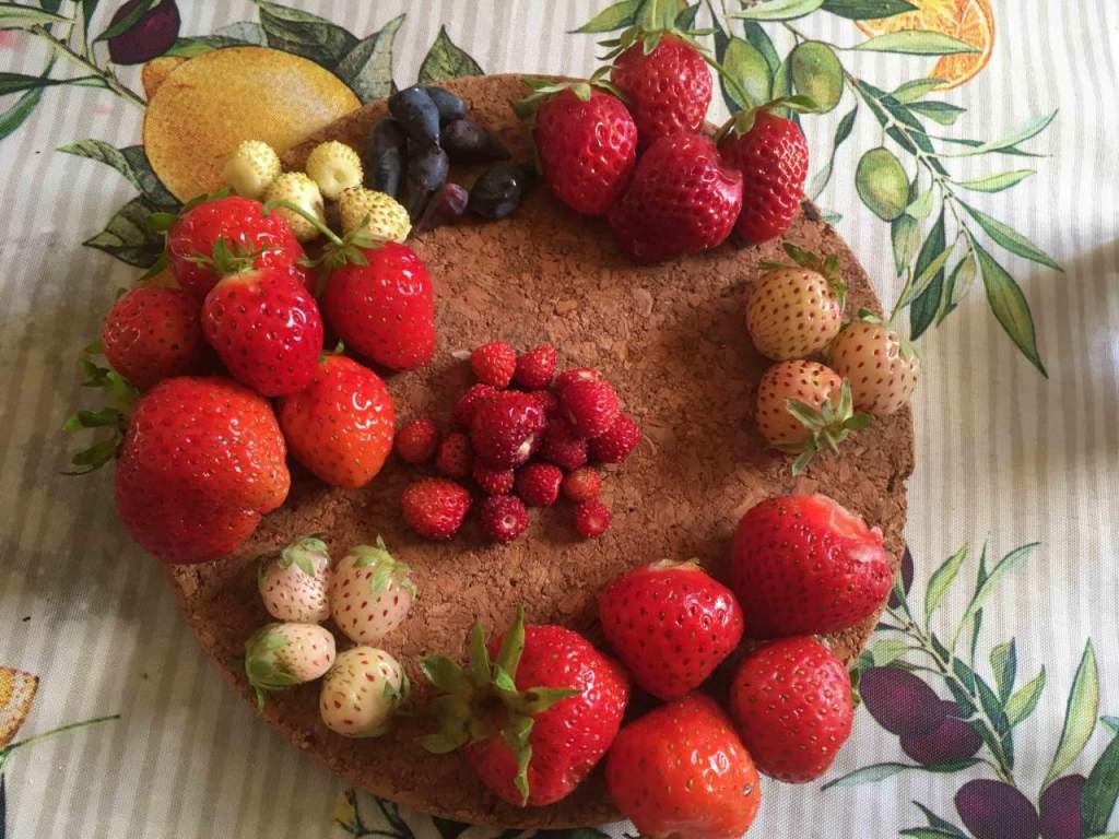 fragola varietà