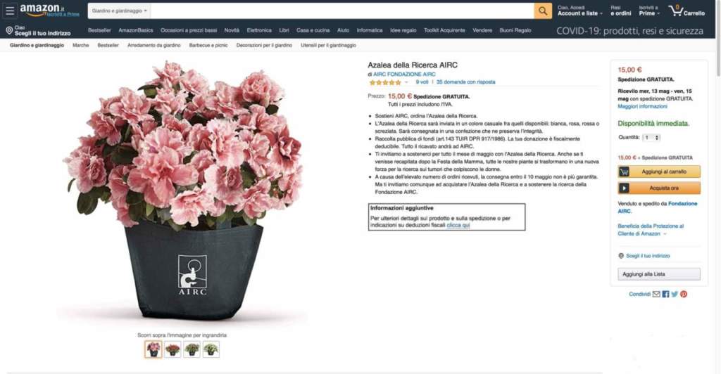 azalea airc amazon