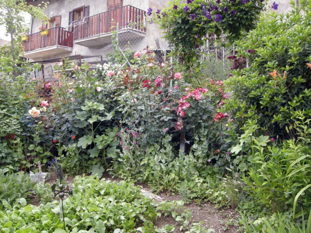 malattie fungine orto fiori