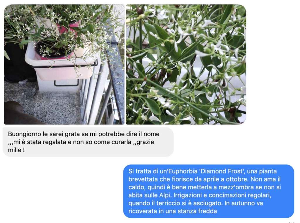 domande giardinaggio