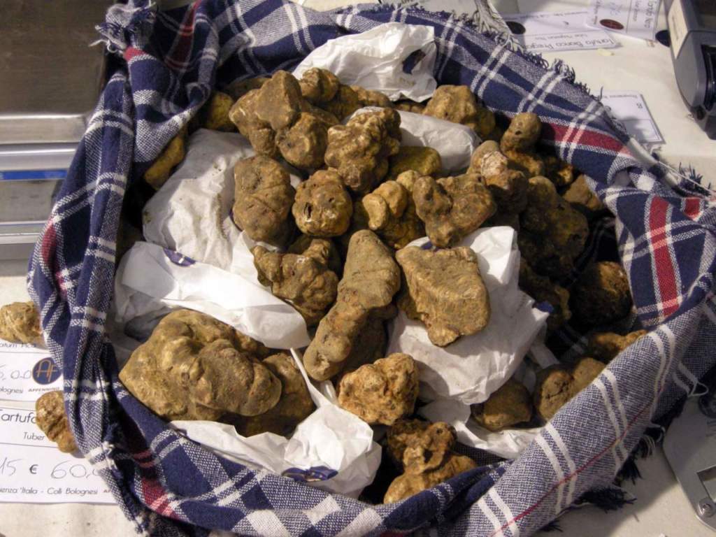 tartufo bianco cesta