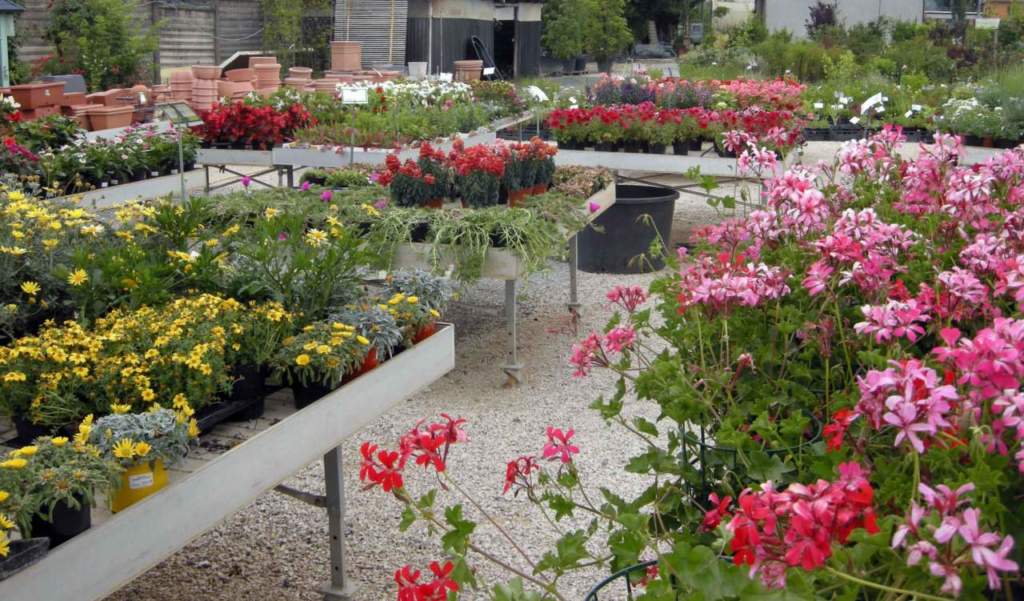 coronavirus garden center