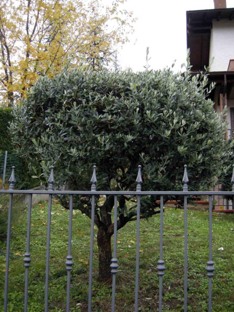recinzione sicurezza