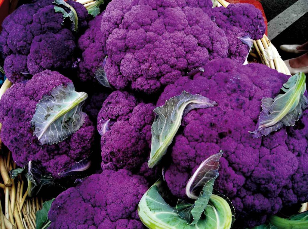 cavolfiore_viola