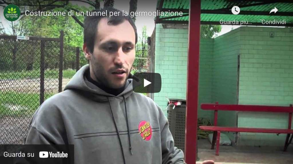 video tunnel germogliazione