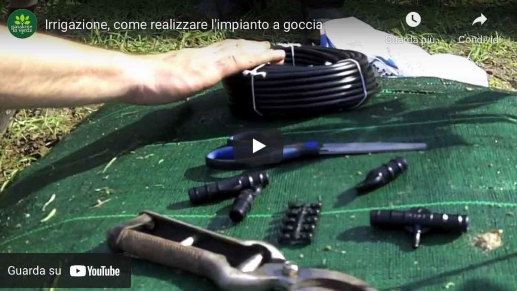 video irrigazione goccia