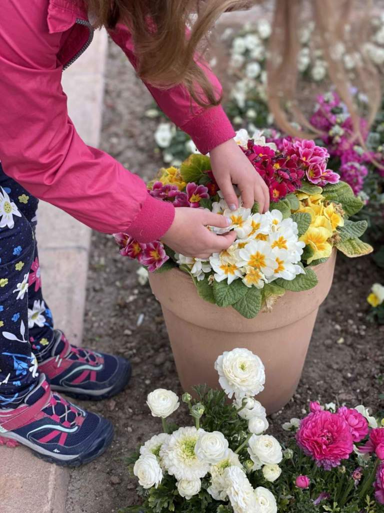 bambini giardino progettazione primula