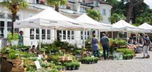mostre mercato giardinaggio merano