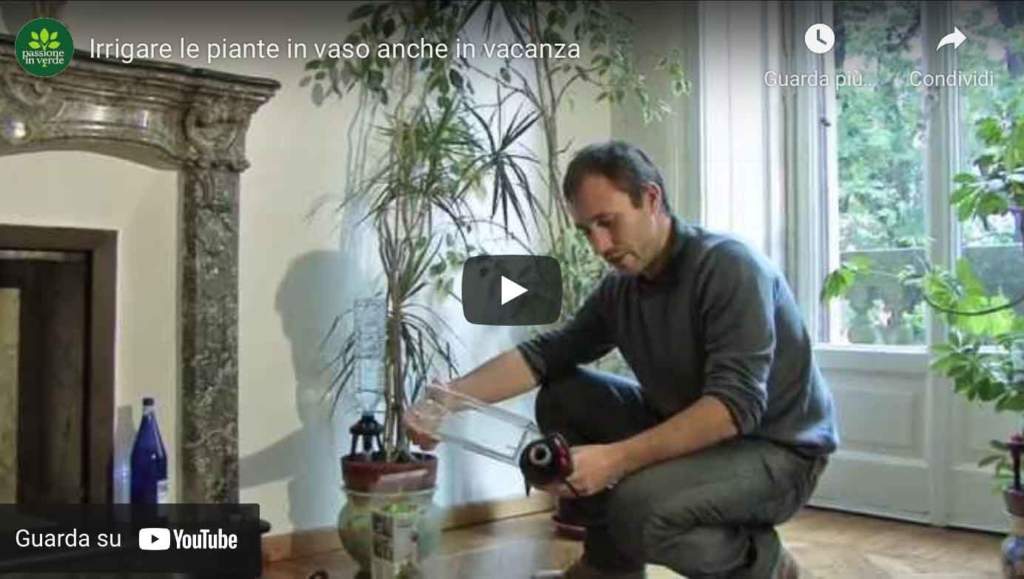 video irrigazione vaso vacanza