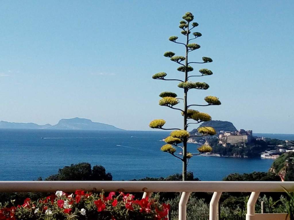 campi flegrei