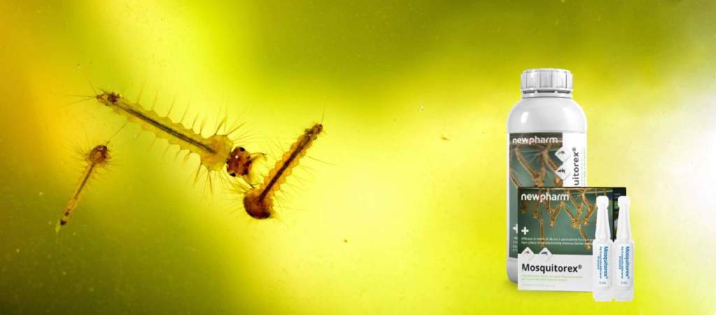 Mosquitorex newpharm