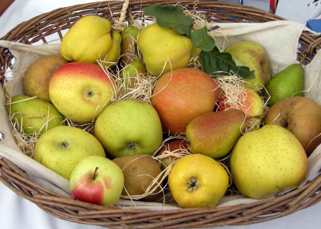 cesta mele