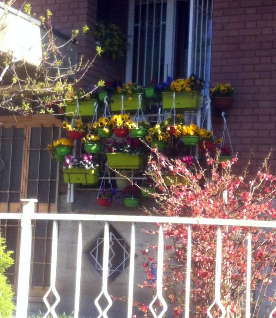 vaso balcone