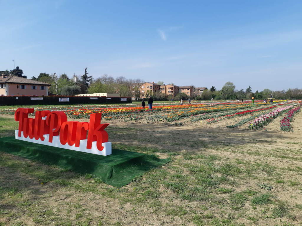 mostra mercato