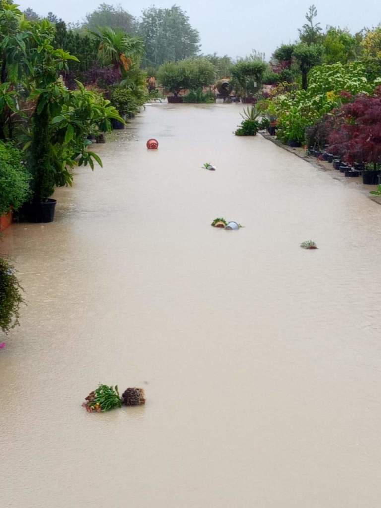 alluvione
