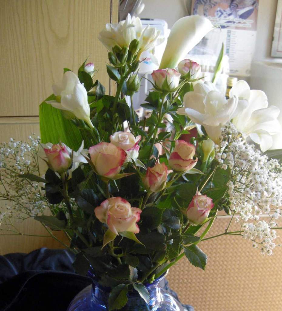fiori recisi