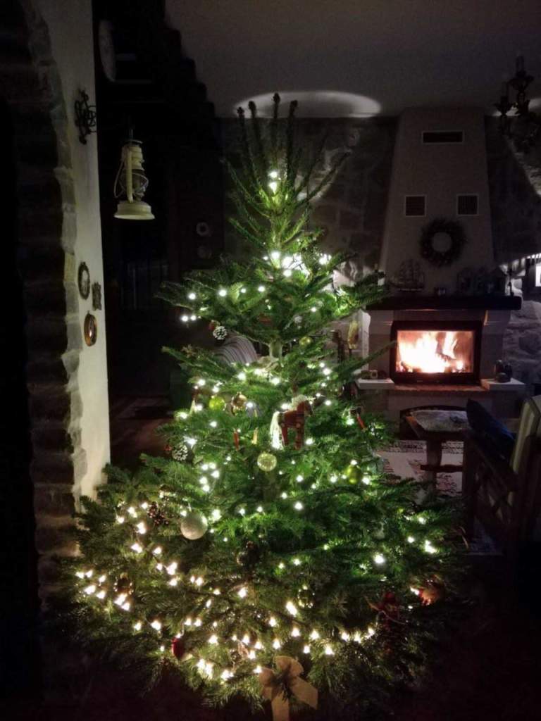 albero natale