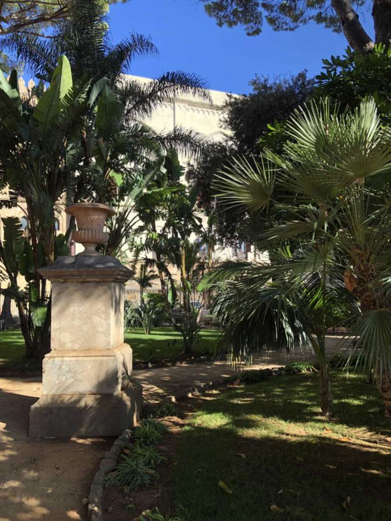 giardino tropicale palme