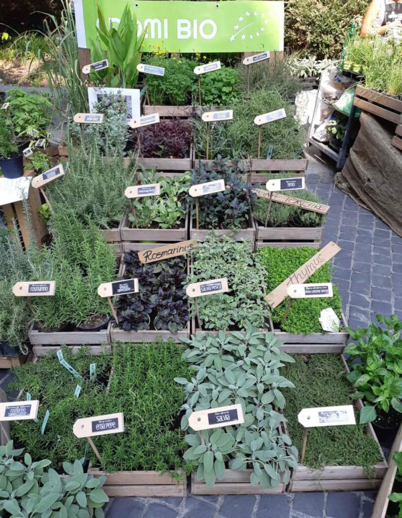 aromatiche