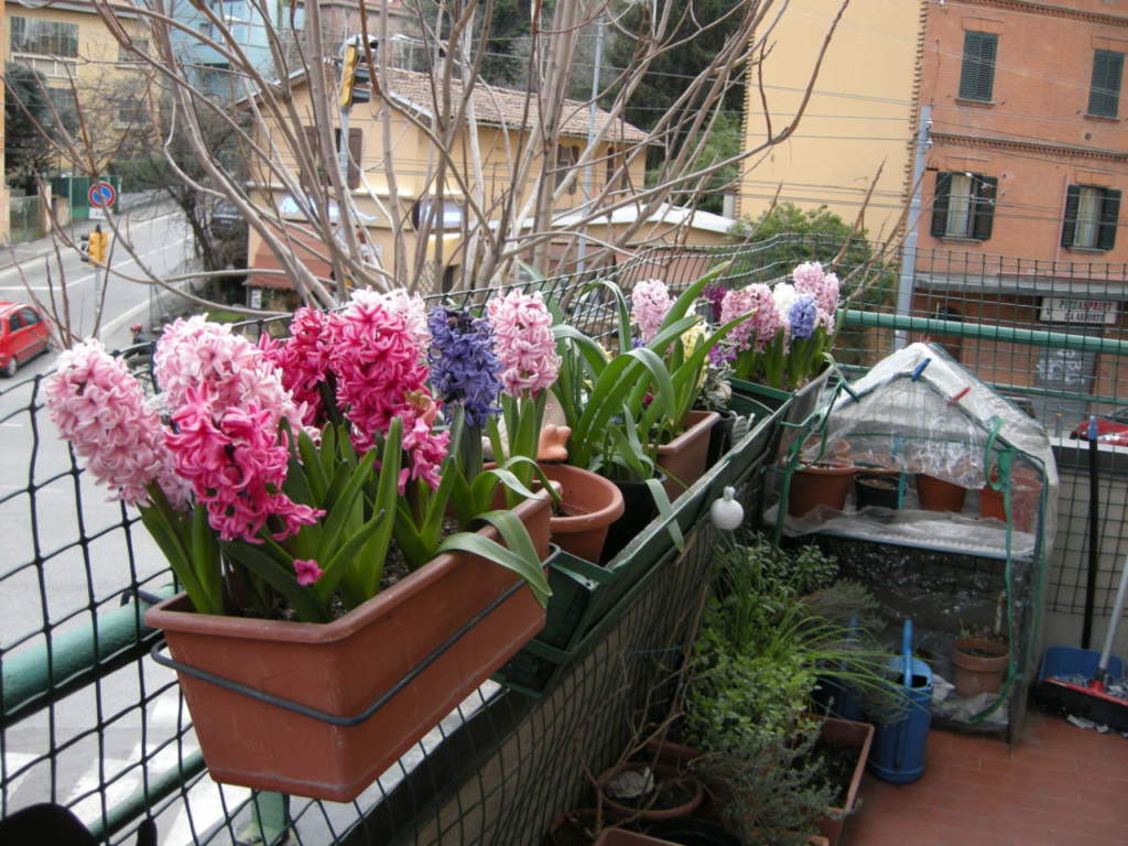 balcone inverno