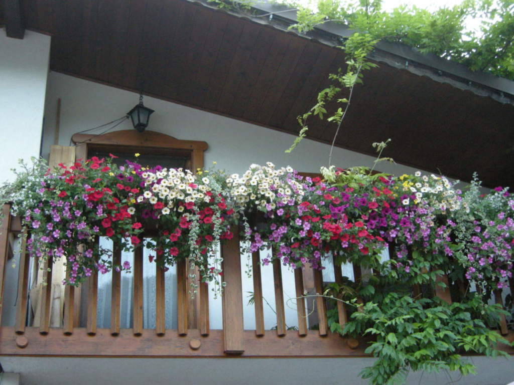 balcone fiorito
