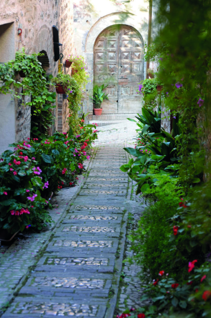 piante d'appartamento