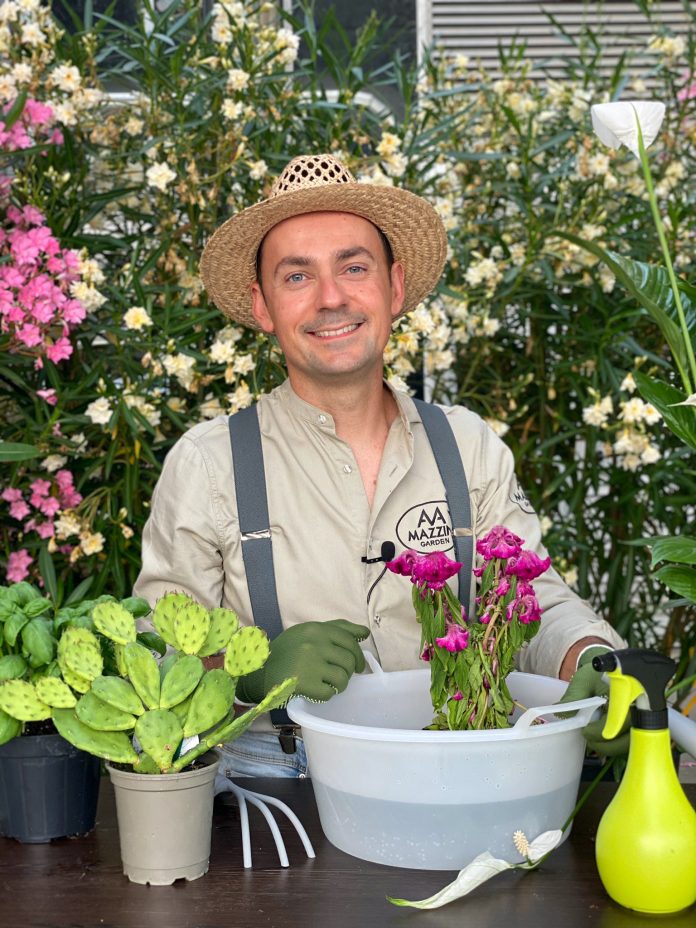 Vacanza stefano pagano