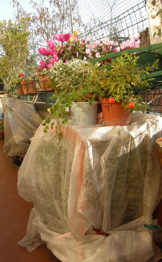 faq giardinaggio