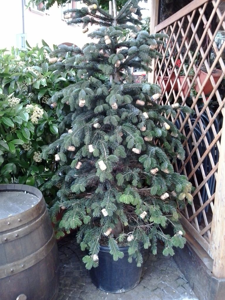albero di natale