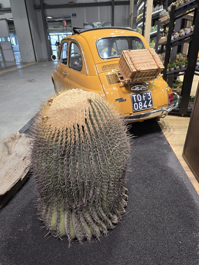 myplant 2025 stand giromagi cactus