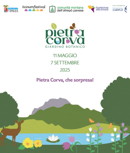 mostre mercato pietracorva