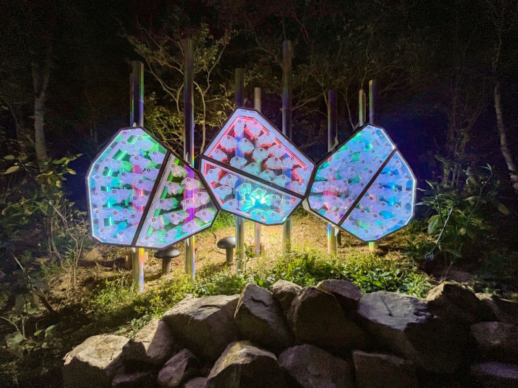 The Hidden Plant Community