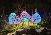 The Hidden Plant Community