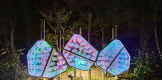 The Hidden Plant Community