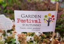 garden festival autunno